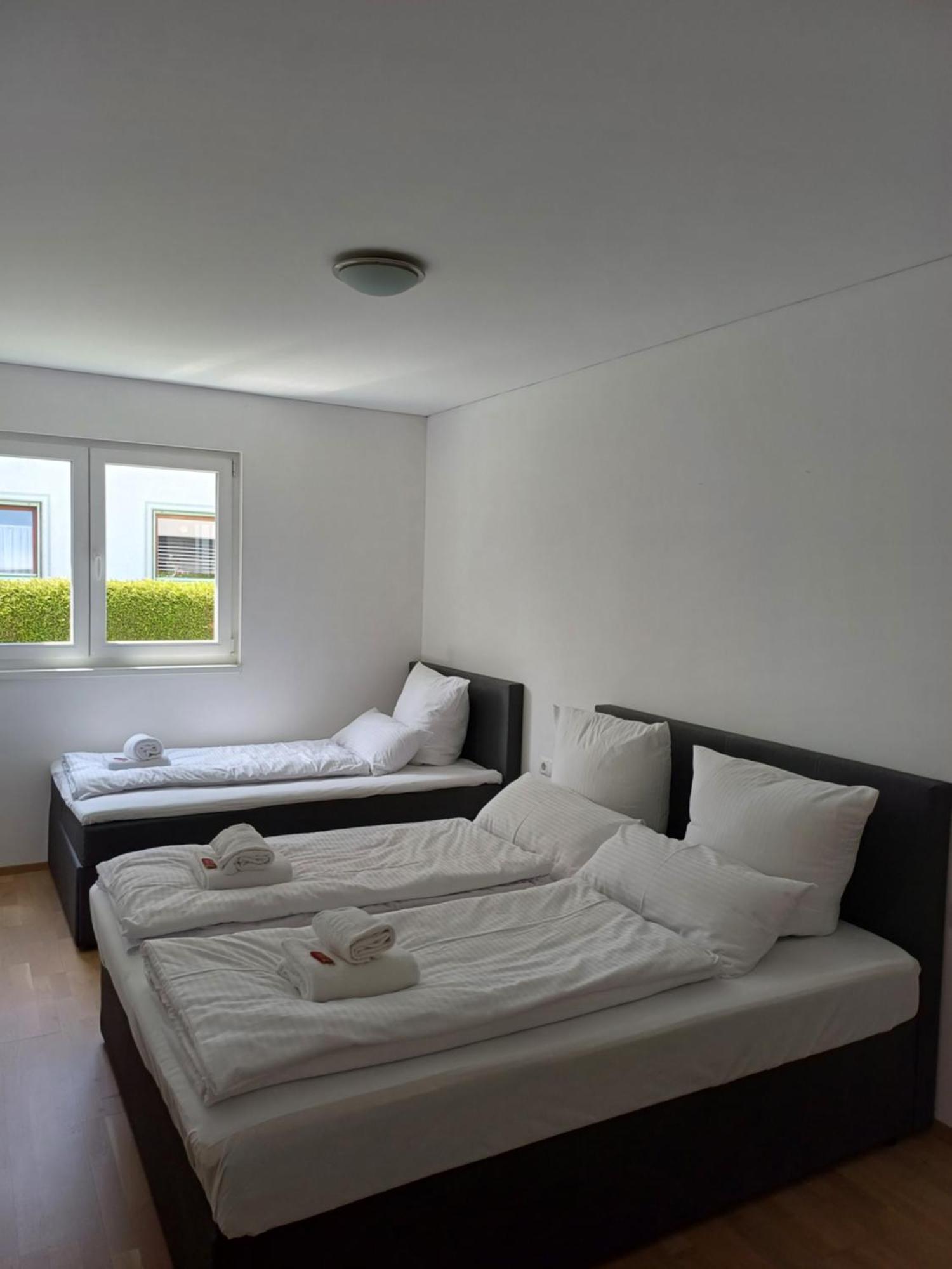 Crown Living Design Apartment - Gratis Parkplatz - Wlan - Kueche - Self Check-In Altach Luaran gambar